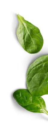 green-leaf